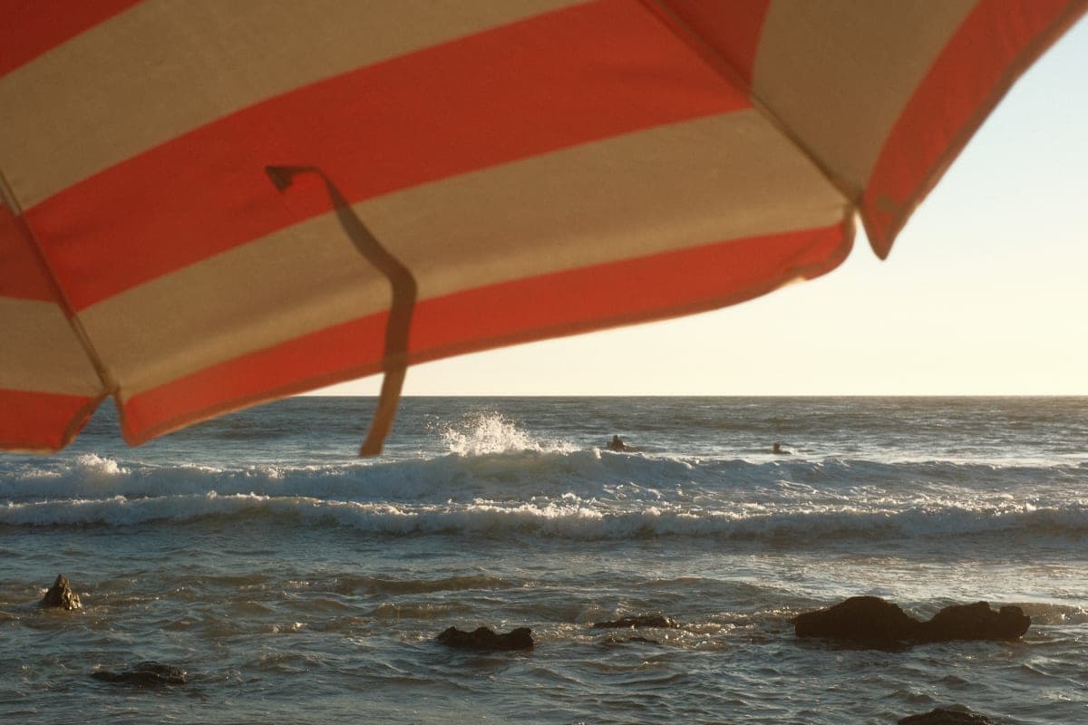 Real-Time User Experience Will Define the Future of Software